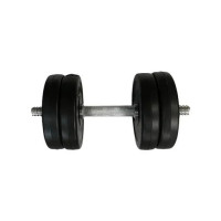 Гантель складальна композитна в пластиковій оболонці Rock Pro-R 11,5 кг NE-PL-R-011 Newt