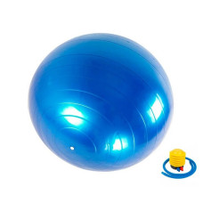М'яч для фітнесу (фітбол) "HMS" 487-626-2-B з насосом 75 см Newt
