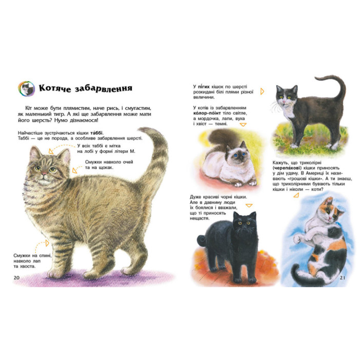 Енциклопедія дошкільника "Коти" 614039 для найменших Ranok Creative