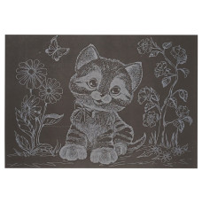 Гравюра А5 "Котик-2"ГрА5с-28 економ варіант у пакеті 21 х 14,8 см Danko Toys