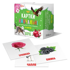 Картки навчальні Глена Домана №6 Майстер MKD0013 укр Мастер