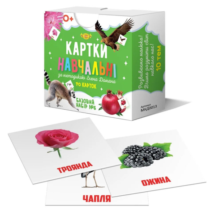 Картки навчальні Глена Домана №6 Майстер MKD0013 укр Мастер