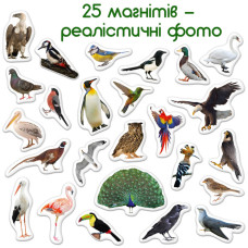 Дитячий набір магнітів Птахи фото Magdum ML4031-30 EN Magdum