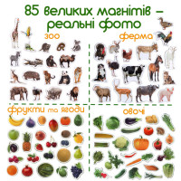 Набір магнітів Magdum 