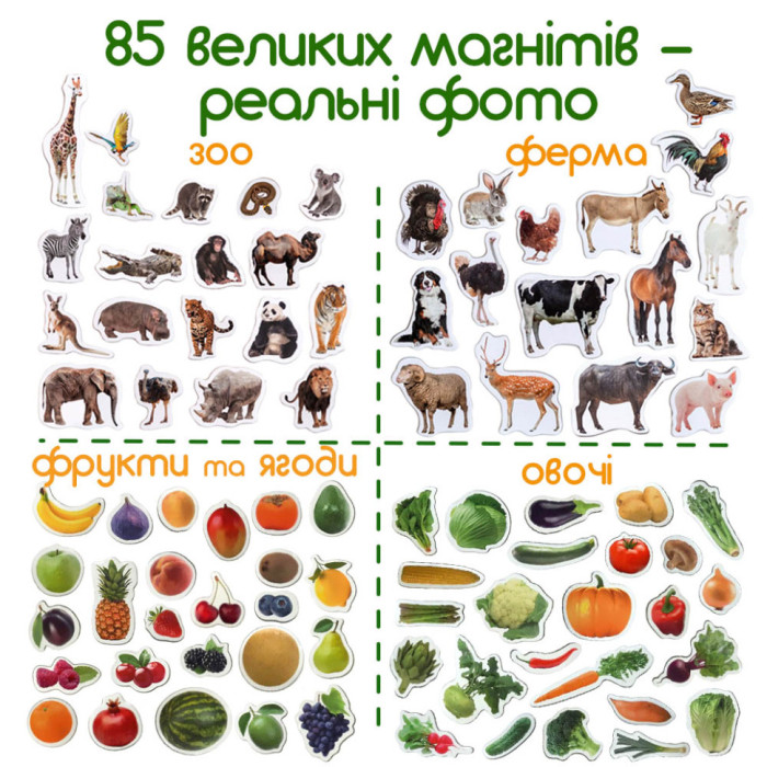 Набір магнітів Magdum "Дитячий світ" ML 4031-61 EN Magdum