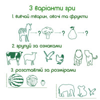 Набір магнітів Magdum 