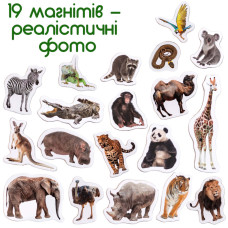 Набір магнітів Зоо 19шт ML4031-02 EN Magdum