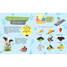 Навчальна книжка Чомусики "Рослини" 875010 запитання та відповіді Ranok Creative