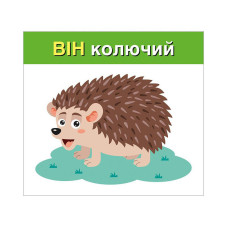 Навчальні картки "Вивчаємо займенники ВІН, ВОНА, ВОНО, ВОНИ" 10109168, 15 карток Ranok Creative
