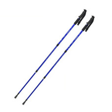 Палка для скандинавської ходьби Energia EasyFit EF-3924-BL, синя EasyFit