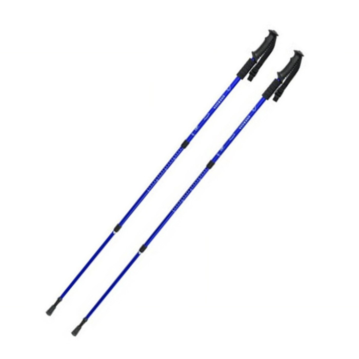 Палка для скандинавської ходьби Energia EasyFit EF-3924-BL, синя EasyFit