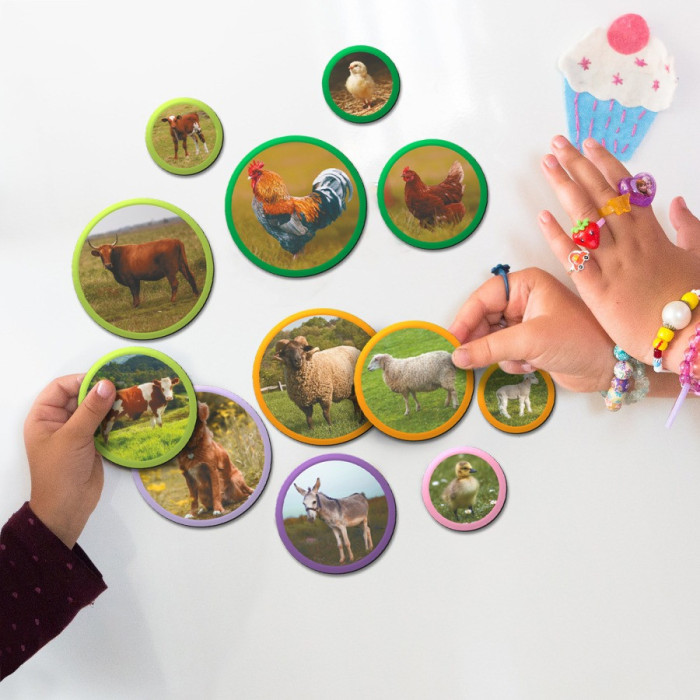 Дитячий магнітний набір Монтесорі "Родини тварин: ферма" 200271, 36 елементів DoDo Toys