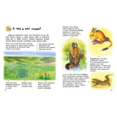 Дитяча книжка "Енциклопедія дошкільника. Україна" 614044 Ranok Creative