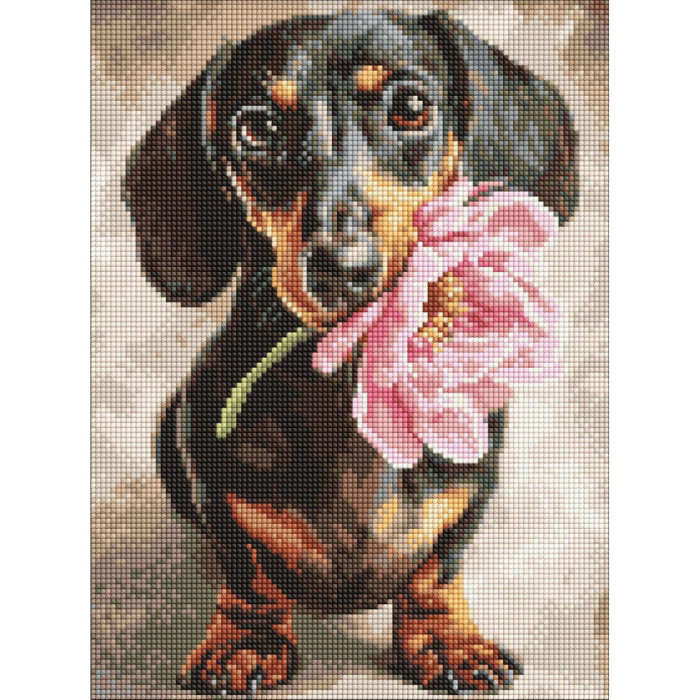 Алмазна мозаїка "Песик і сюрприз"©art_selena_ua AMO20219, 30х40 см Идейка