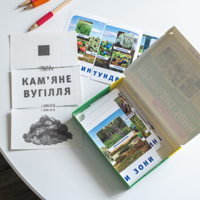 Набір тематичних карток "Природні зони" 13169002 для дітей 4-6 років Ranok Creative