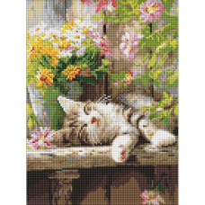 Алмазна мозаїка "Муркотливий сон" AMO20323, 30х40 см                                               Идейка
