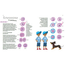 Навчальна книга "Генетика для дітей: X та Y, дівчинка чи хлопчик?" 1354004, 36 сторінок Ranok Creative