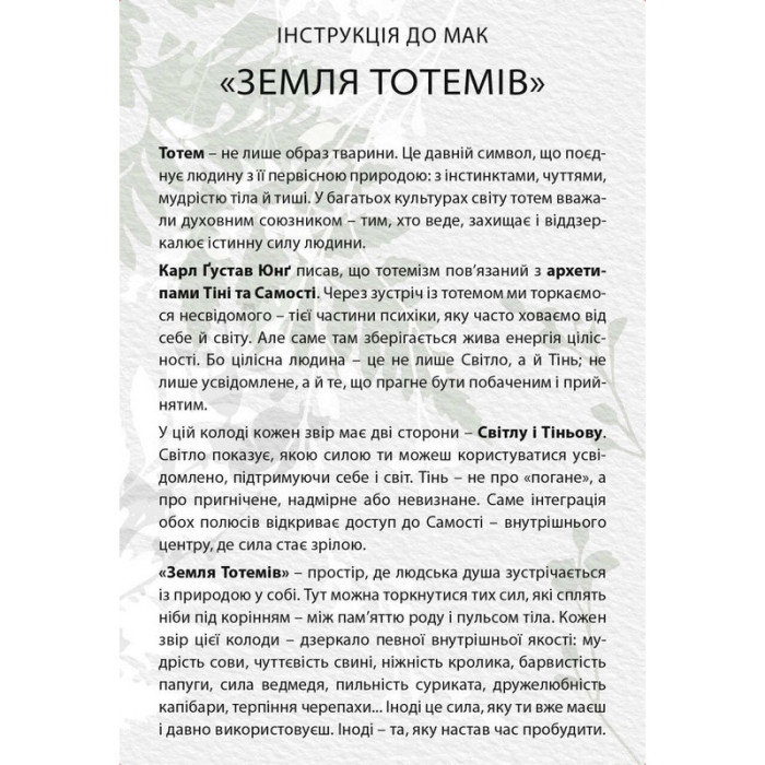 Метафорично-асоціативні картки "Земля тотемів" 180689, 71 картка Колесо Життя