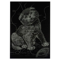 Гравюра А5 "Котик"ГрА5з-14 економ-варіант у пакеті 21 × 14,8 см Danko Toys