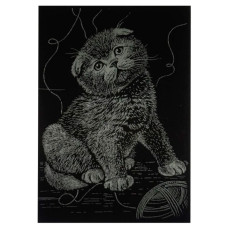 Гравюра А5 "Котик"ГрА5з-14 економ-варіант у пакеті 21 × 14,8 см Danko Toys