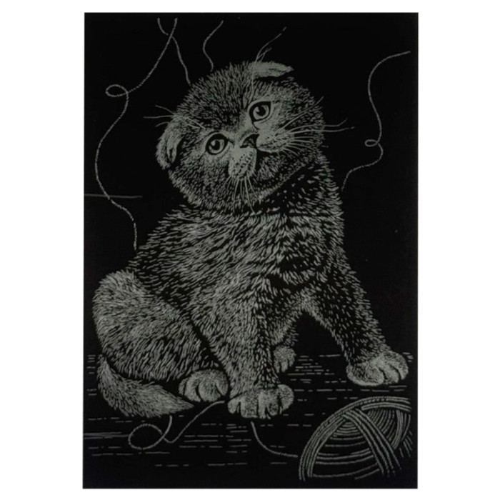 Гравюра А5 "Котик"ГрА5з-14 економ-варіант у пакеті 21 × 14,8 см Danko Toys