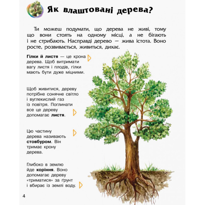 Дитяча енциклопедія про ліс 614016 для дошкільнят Ranok Creative