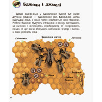 Дитяча енциклопедія про комах 614014 для дошкільнят Ranok Creative
