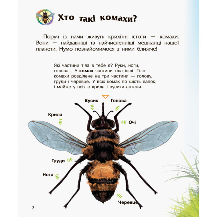 Дитяча енциклопедія про комах 614014 для дошкільнят Ranok Creative