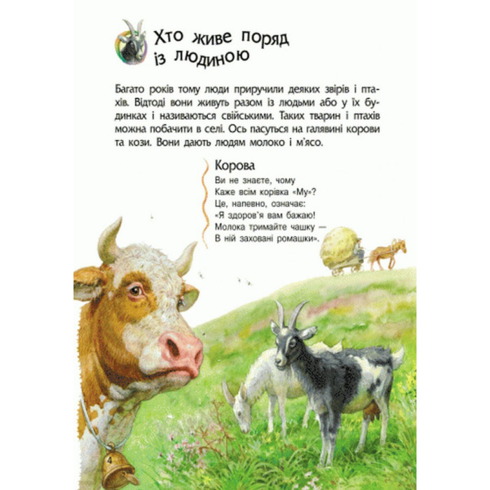 Дитяча енциклопедія про тварин 614005 для дошкільнят Ranok Creative