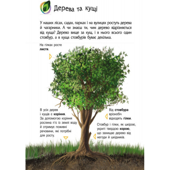 Дитяча енциклопедія про природу 614008 для дошкільнят Ranok Creative