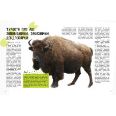 Дитяча книга "Світ і його таємниці: Життя лісу" 740002 укр. мовою Ranok Creative