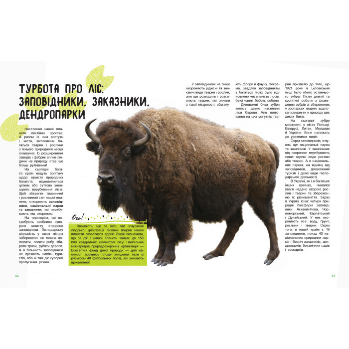 Дитяча книга "Світ і його таємниці: Життя лісу" 740002 укр. мовою Ranok Creative