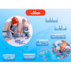 Ігровий набір "Виверт" LD1046-04 російська мова Ludum
