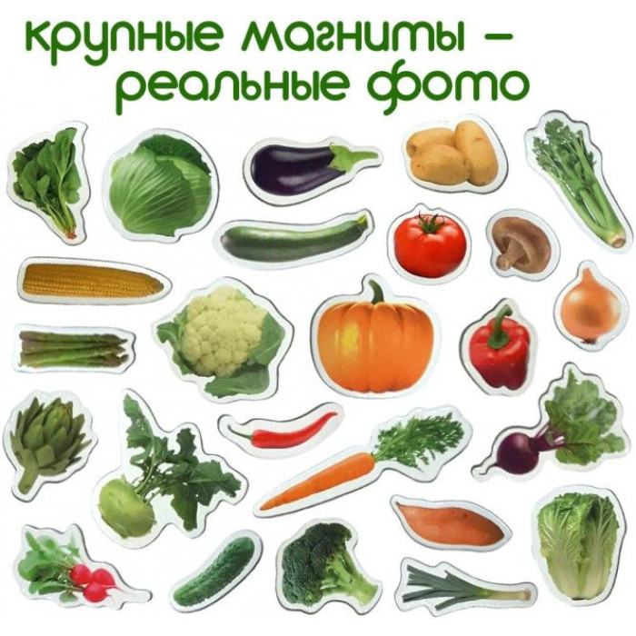 Набір магнітів Magdum "Овочі" ML4031-12 EN Magdum