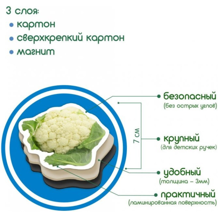 Набір магнітів Magdum "Овочі" ML4031-12 EN Magdum