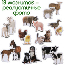 Набір магнітів Magdum "Ферма Мами і малюки" ML4031-08 EN Magdum