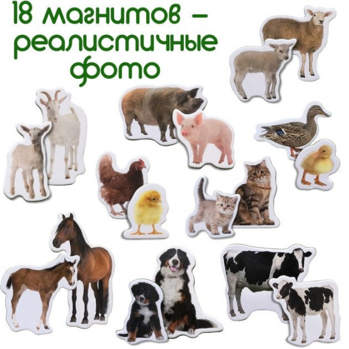 Набір магнітів Magdum "Ферма Мами і малюки" ML4031-08 EN Magdum