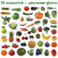 Набір магнітів Magdum "Фрукти і овочі" ML4031-15 EN Magdum