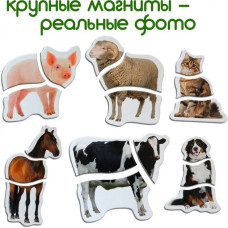 Магнітні пазли Magdum Ферма ML4031-19 EN Magdum