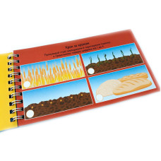 Навчальна книга Цифри 4+ Грайки 123003 ЗІРКА
