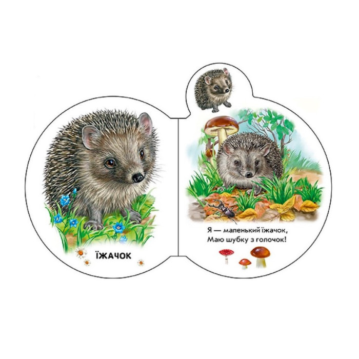 Картонна книжечка для найменших Малята : У лісі 411017 аудіо-бонус Ranok Creative