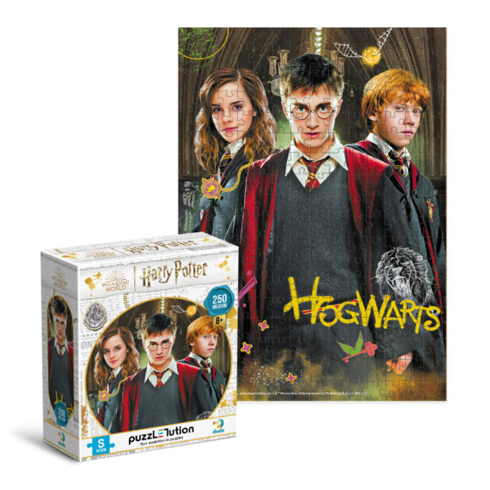 Пазл класичний "Harry Potter. Гаррі та друзі" 200498, 250 елементів DoDo Toys