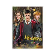 Пазл класичний "Harry Potter. Гаррі та друзі" 200498, 250 елементів DoDo Toys