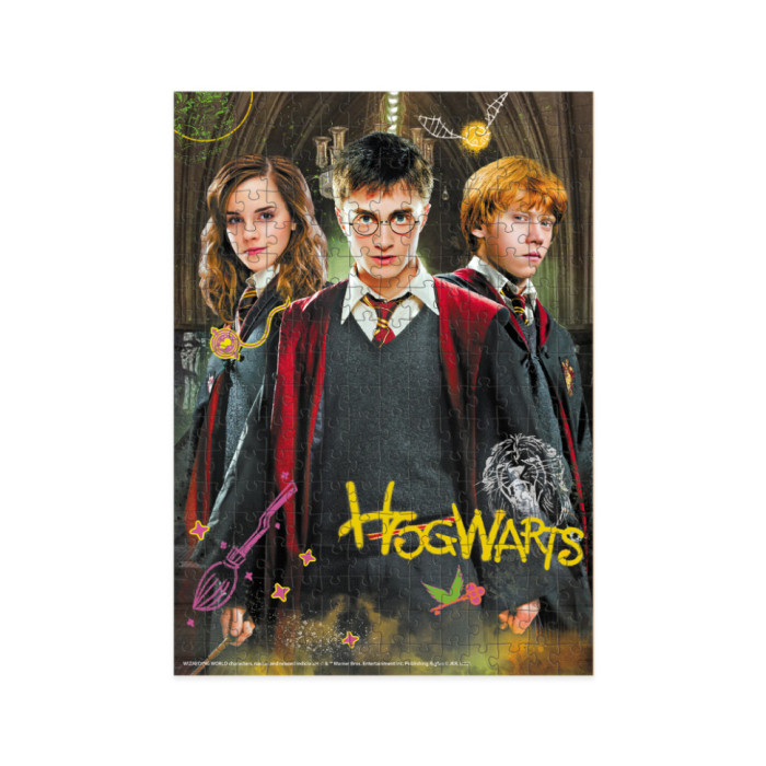 Пазл класичний "Harry Potter. Гаррі та друзі" 200498, 250 елементів DoDo Toys