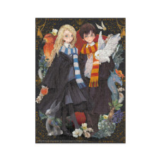 Пазл класичний "Harry Potter. Луна та Гаррі" 200500, 300 елементів DoDo Toys