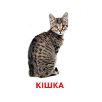 Розвиваючі картки для дітей Домашні тварини J012yD, 18 картинок Jumbi