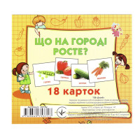 Розвиваючі картки для дітей Що росте на городі J018y, 18 картинок Jumbi