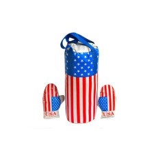 Дитячий боксерський набір Америка 0003DT ВЕЛ з рукавичками Danko Toys
